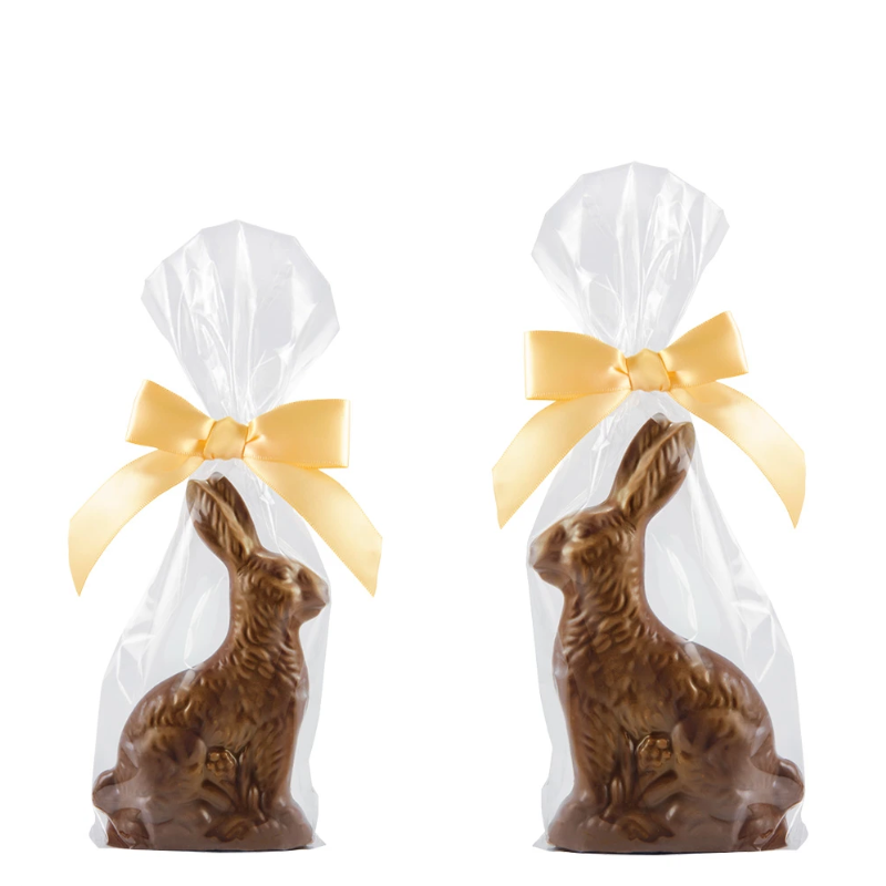 Nancy Adams® Solid Belgian Milk Chocolate Bunny