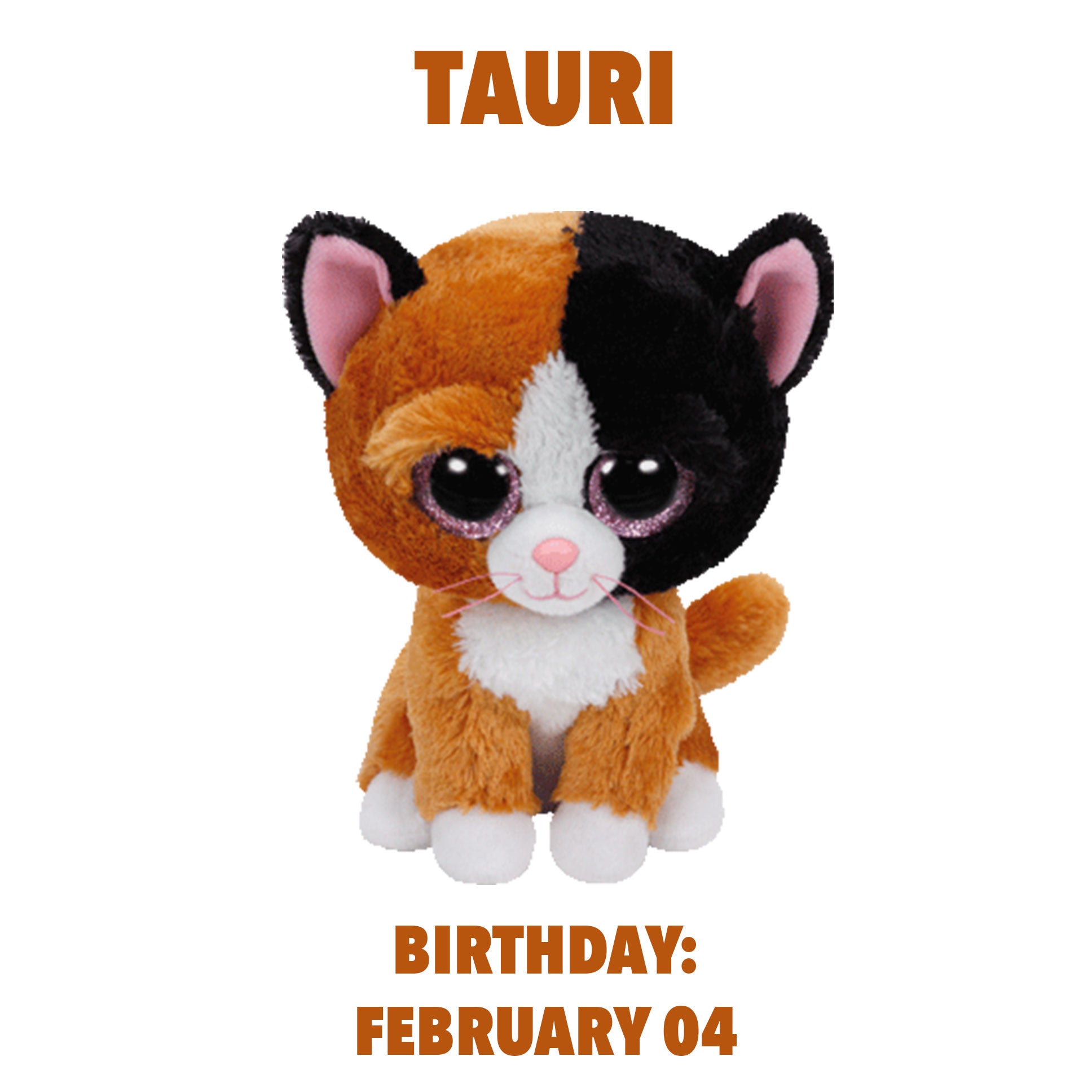 Ty Beanie Boos Tauri1
