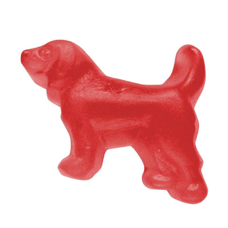 Licorice - Red Dutch Beagles