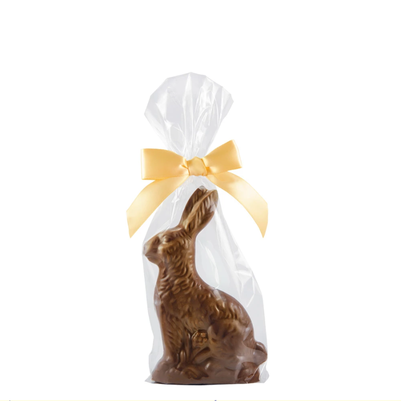Nancy Adams® Solid Belgian Milk Chocolate Bunny