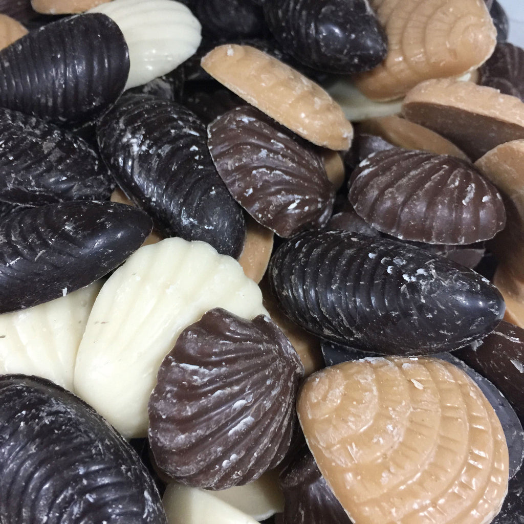 Chocolate Sea Shells